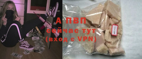 спайс Инта