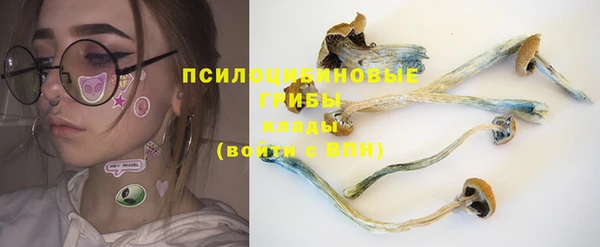 герыч Иннополис