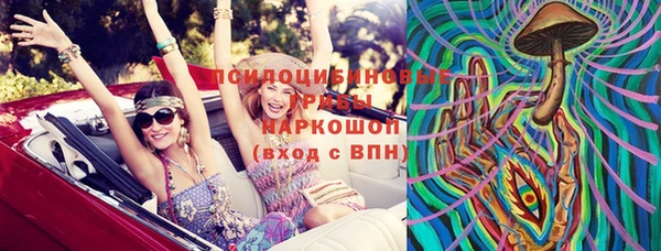 спайс Инта
