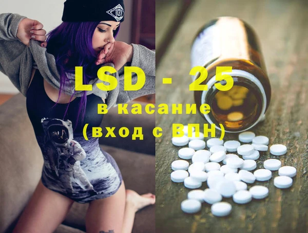 спайс Инта
