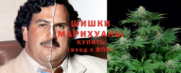 спайс Инта