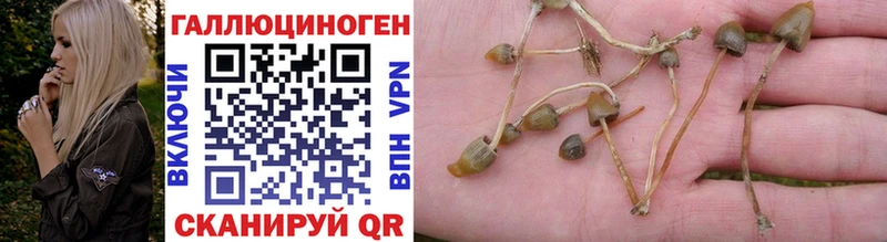 Галлюциногенные грибы Psilocybine cubensis  нарко площадка наркотические препараты  Куса  наркошоп 