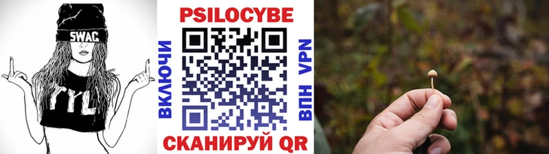 Галлюциногенные грибы Psilocybe Куса
